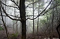 _DSC1287