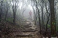 _DSC1298