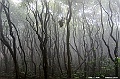 _DSC1324