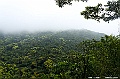 _DSC1336