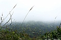 _DSC1340