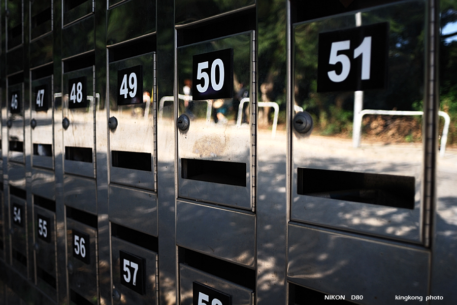 DSC_3353.jpg - YUEN LONG TAI TONG