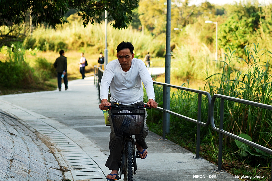 DSC_3403.jpg - YUEN LONG TAI TONG