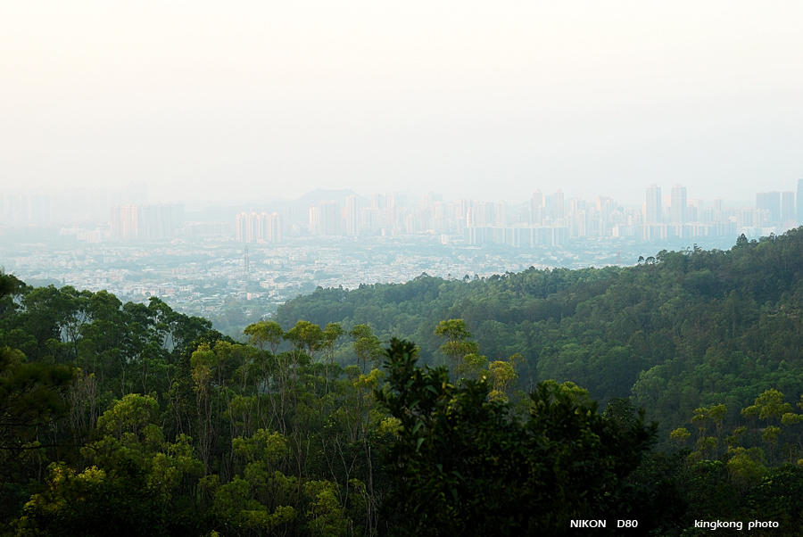 DSC_3472.jpg - YUEN LONG TAI TONG