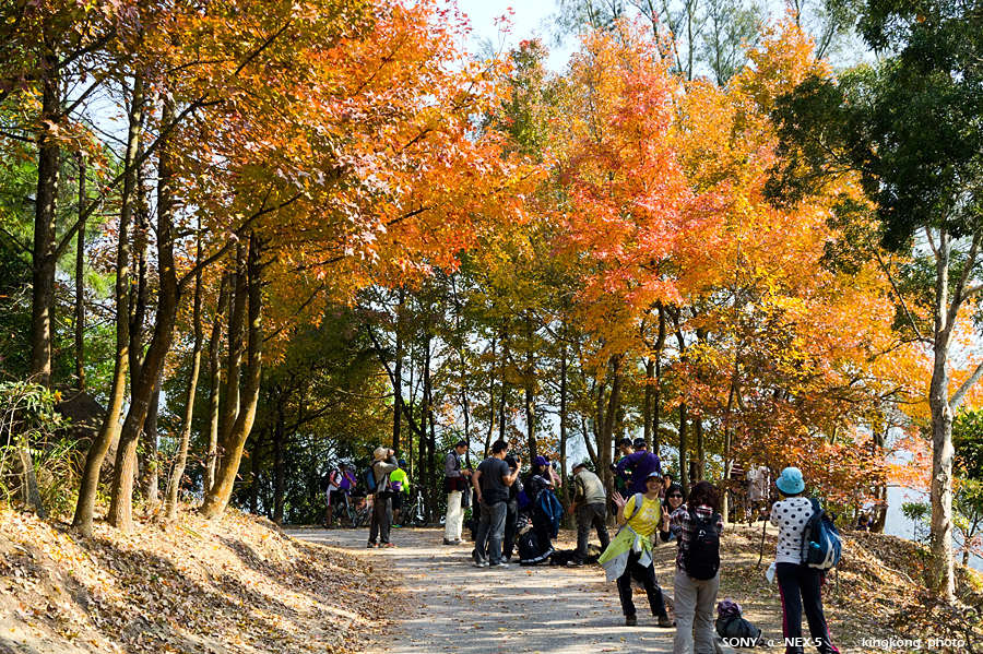 _DSC0295.jpg - Taken at Latitude/Longitude:22.397619/114.038581. 2.90 km West Tin Fu Tsai  Hong Kong   (Map link) 