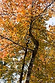 _DSC0286