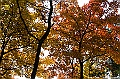 _DSC0299