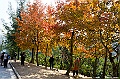 _DSC0302
