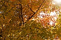 _DSC0306