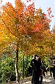 _DSC0315