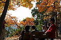_DSC0329