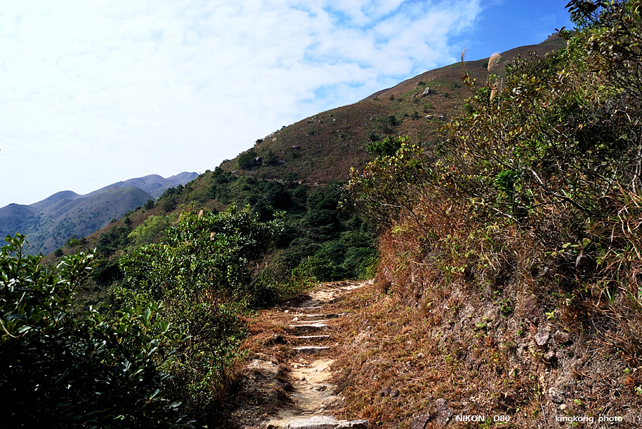 DSC_3847.jpg