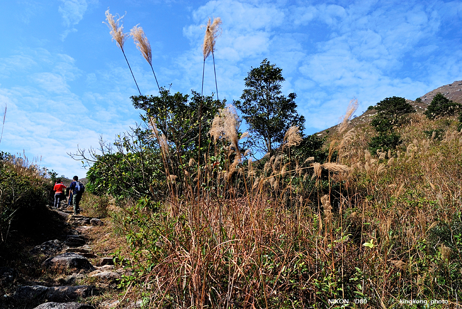 DSC_3880.jpg
