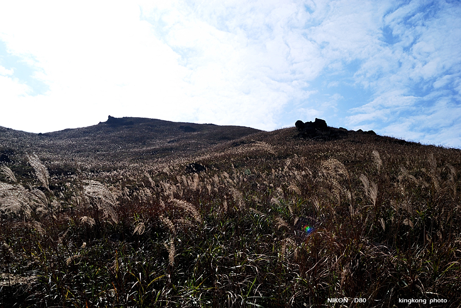 DSC_3975.jpg