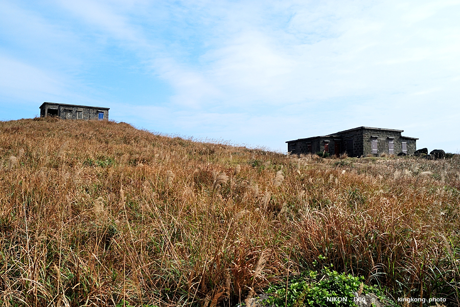 DSC_4091.jpg