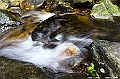 _DSC0328