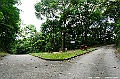 _DSC0334