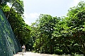 _DSC0343