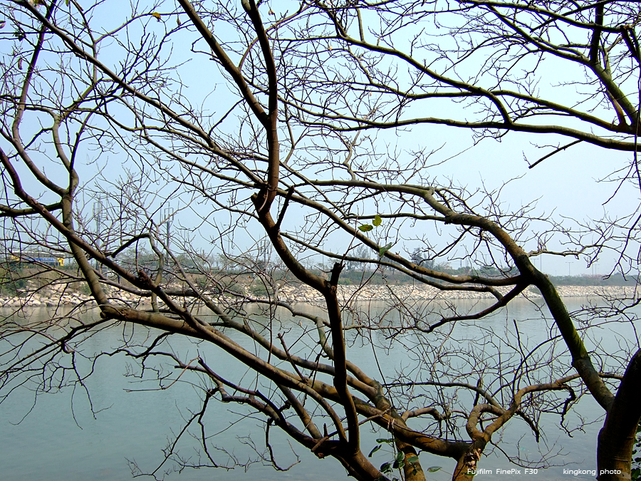 DSCF1087.JPG - TungChung to MuiWo