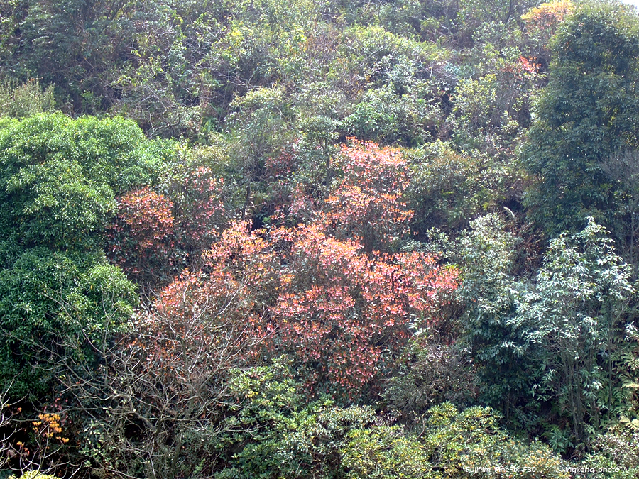 DSCF1157.JPG