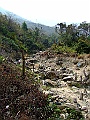 DSCF1066