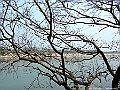 DSCF1087
