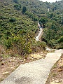 DSCF1137
