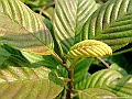 DSCF1139