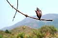 DSCF1140