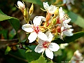 DSCF1147