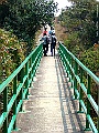 DSCF1149