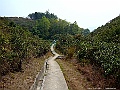 DSCF1151