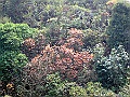 DSCF1157