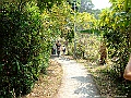 DSCF1193