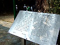 DSCF1195