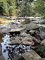 DSCF1203