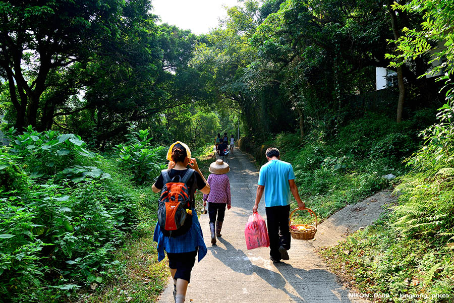 DSC_0580.jpg