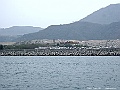 DSCF5311