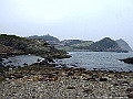 DSCF5335