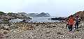 DSCF5341
