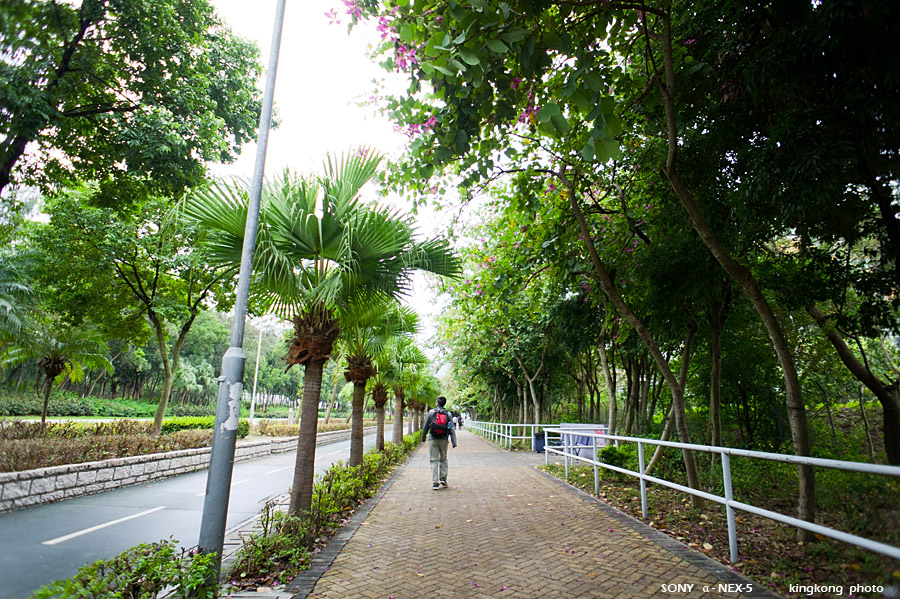 _DSC0480.jpg - Taken at Latitude/Longitude:22.278910/113.932700. 0.50 km South Sheung Ling Pei  Hong Kong   (Map link) 