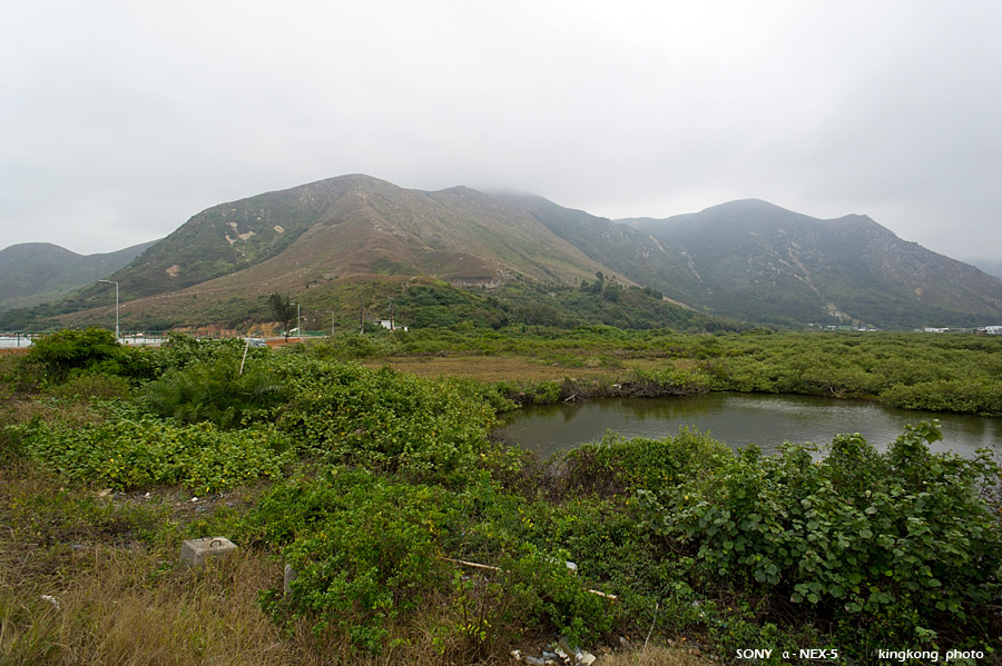 _DSC0530.jpg - Taken at Latitude/Longitude:22.254948/113.863174. 0.21 km North Tai O  Hong Kong   (Map link) 