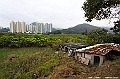 _DSC0490
