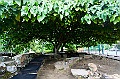 _DSC0500