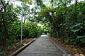 _DSC0506