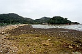 _DSC0528