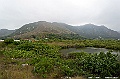 _DSC0530