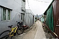 _DSC0533