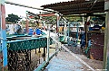 _DSC0539