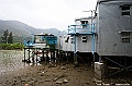_DSC0594